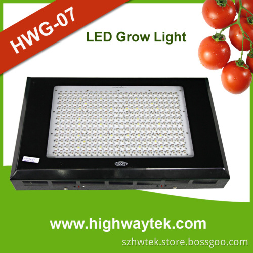 600W Grow Light LED